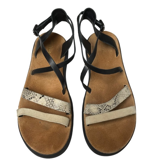 Clarks Chunky Strap Sandals Boa Leather Black Trendy Modern LIKE NEW Size 9 - Picture 1 of 11
